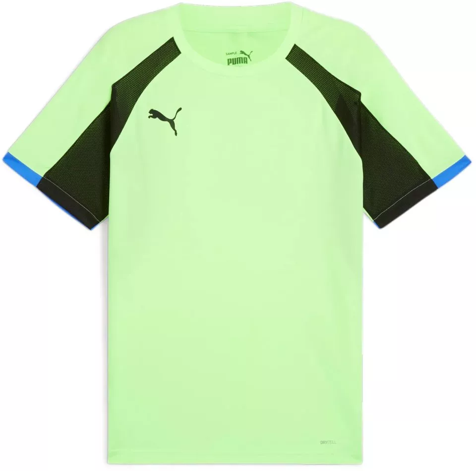 Puma IndividualLIGA Men's T-shirt