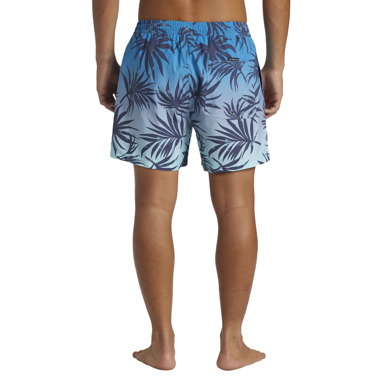 Quiksilver Everyday Mix Volley 15 Swim shorts Men's