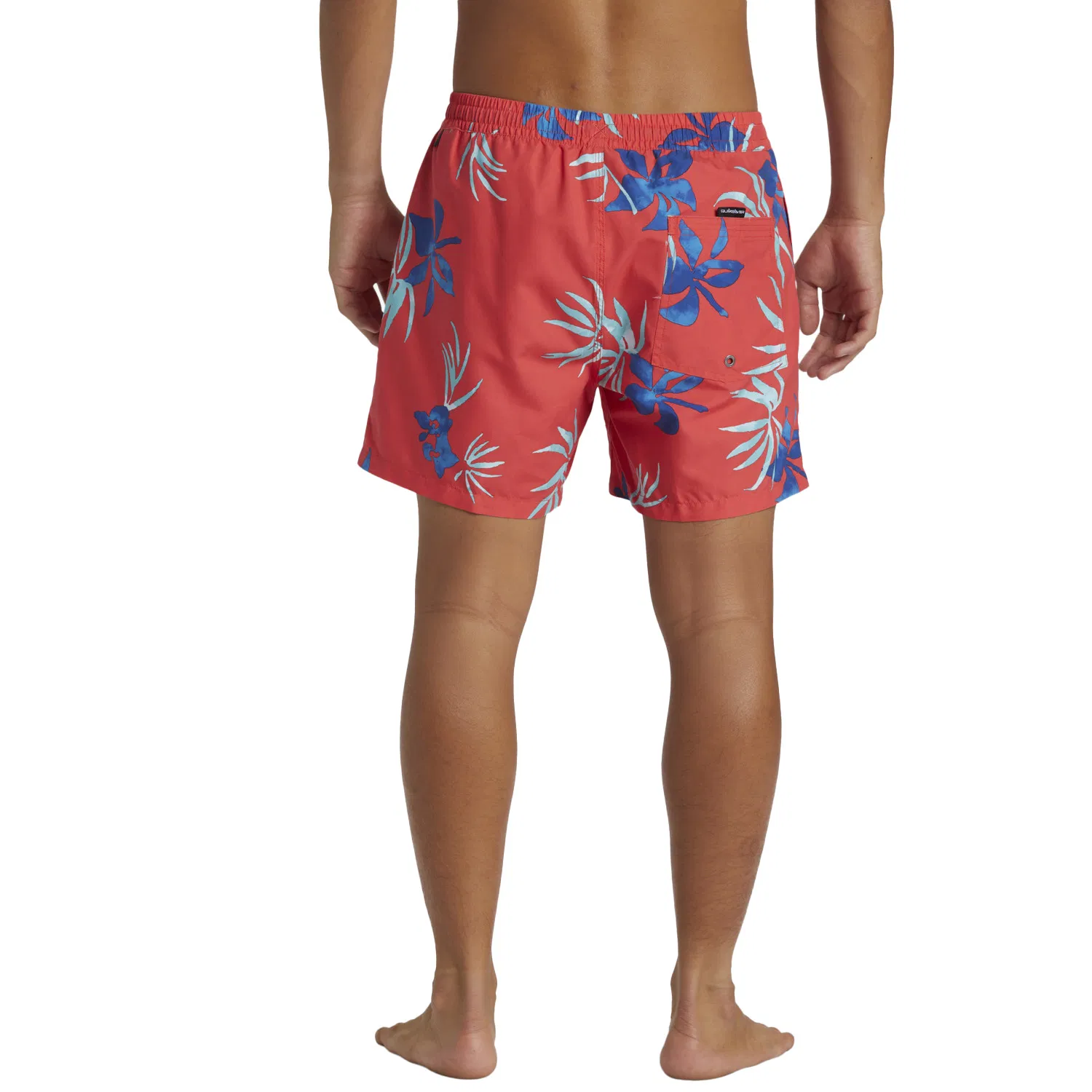 Quiksilver Everyday Mix Volley 15 Swim shorts Men's