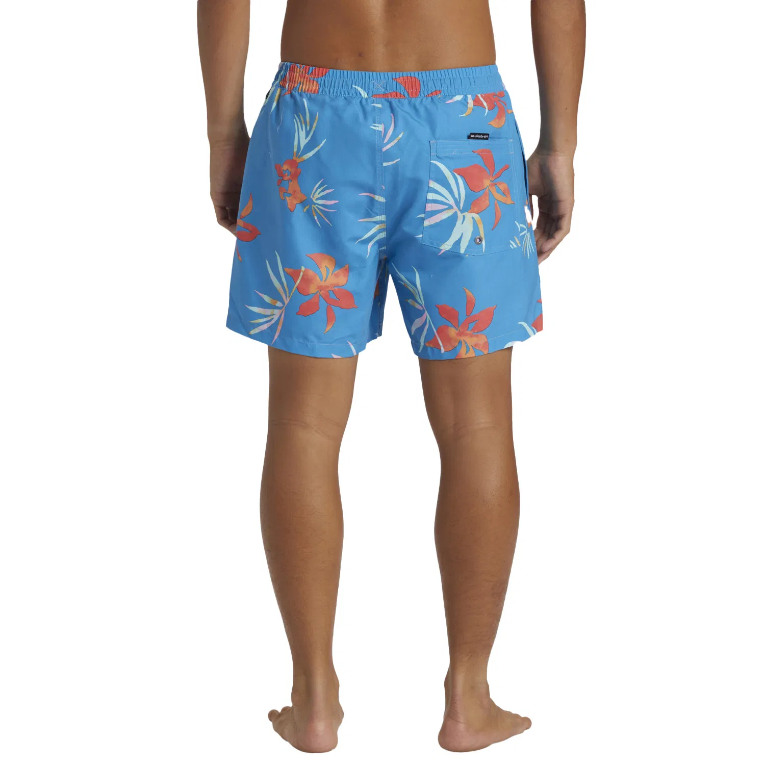 Quiksilver Everyday Mix Volley 15 Swim shorts Men's