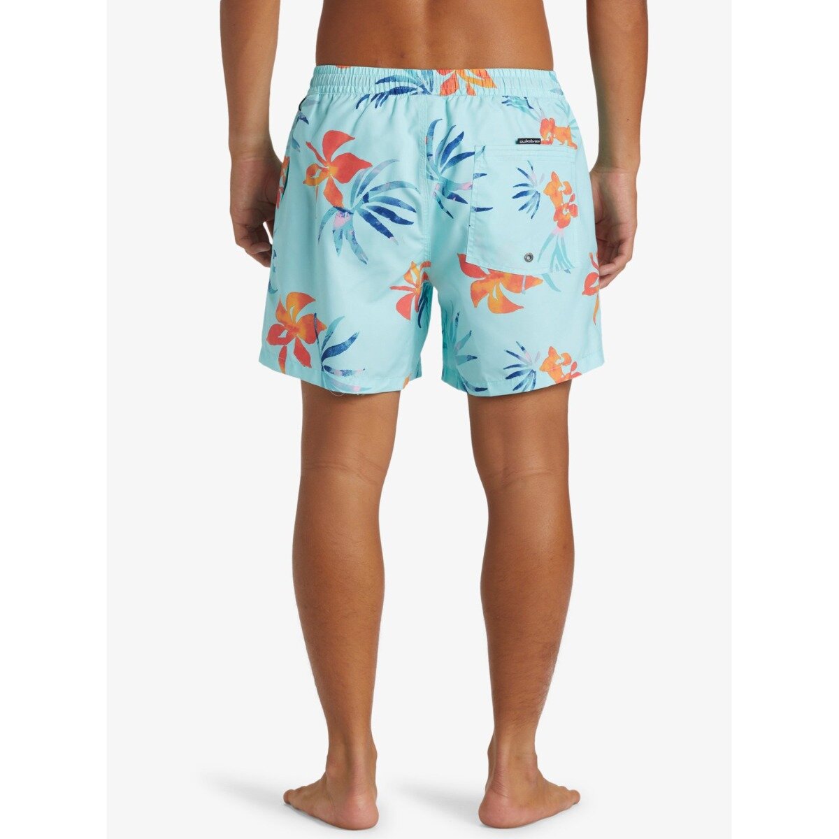 Quiksilver Everyday Mix Volley 15 Swim shorts Men's