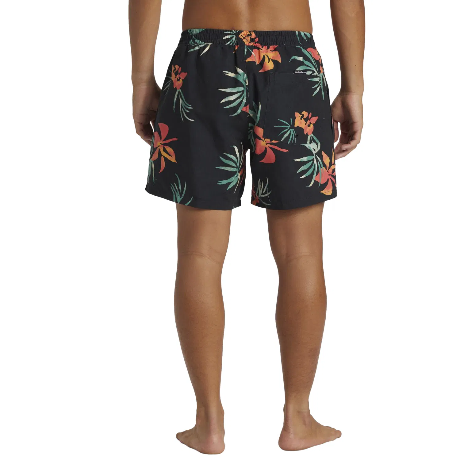 Quiksilver Everyday Mix Volley 15 Swim shorts Men's