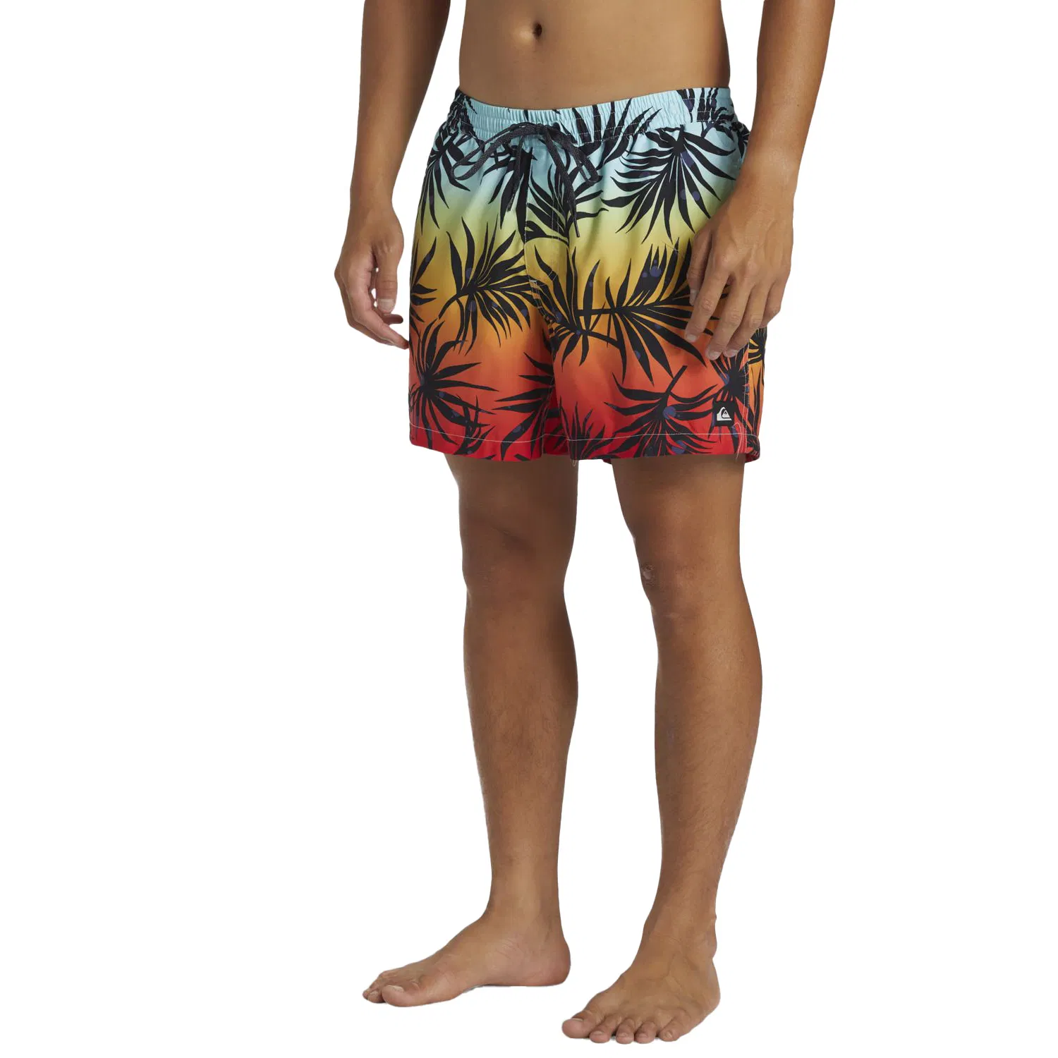 Quiksilver Everyday Mix Volley 15 Swim shorts Men's