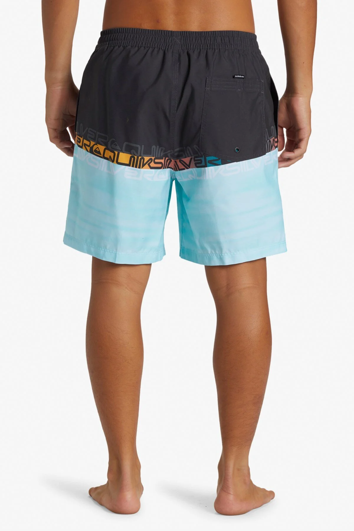 Quiksilver Everyday Worldblock Swim shorts Men's