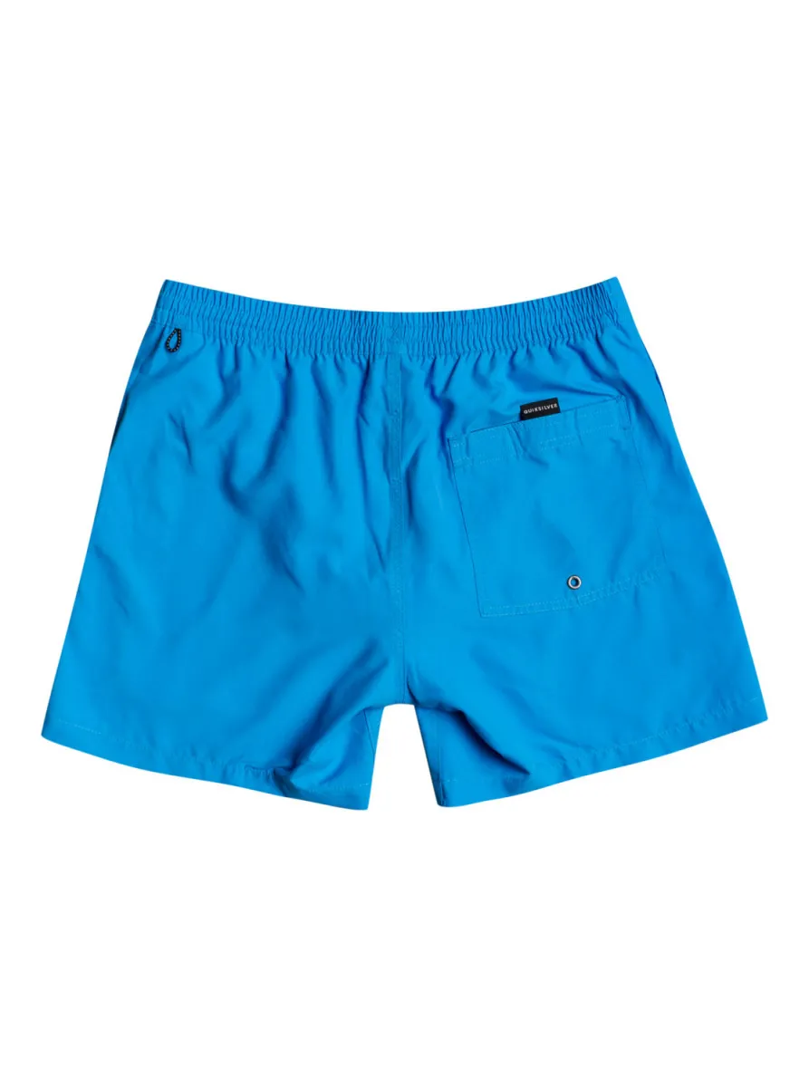 Quiksilver Everyday Volley Swim shorts Kids'