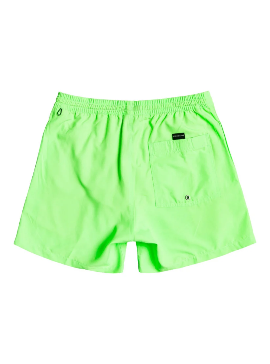 Quiksilver Everyday Volley Swim shorts Kids'