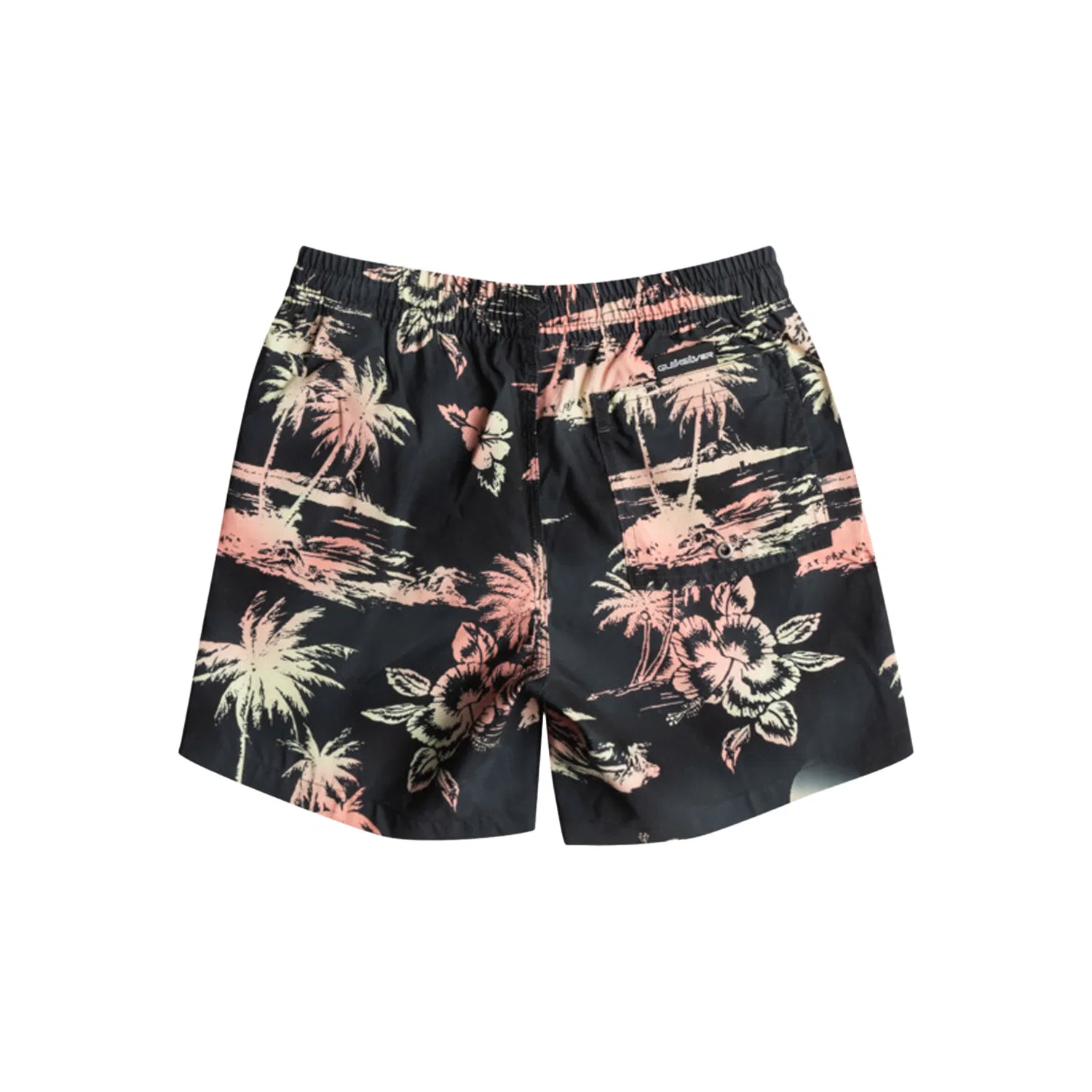 Quiksilver Everyday Mix 14 Swim shorts Kids'