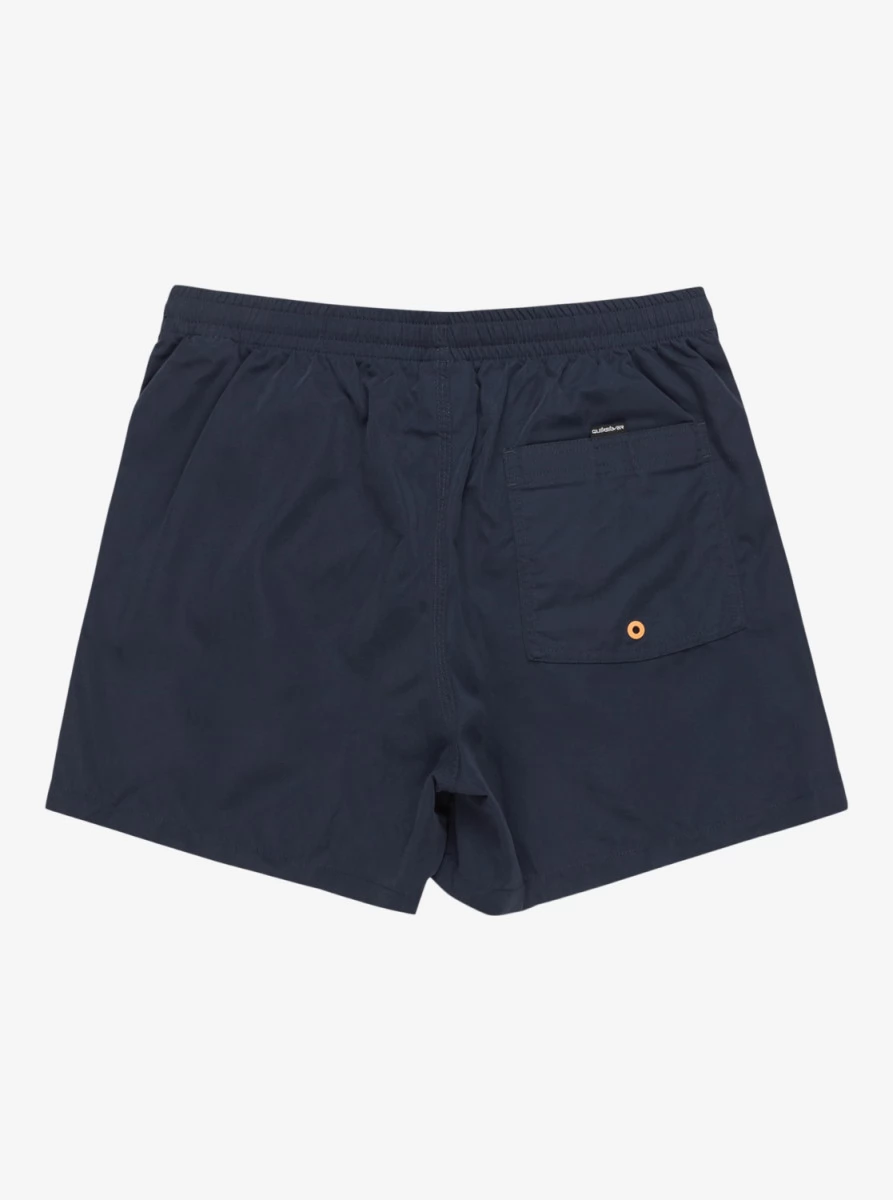 QUIKSILVER BEHIND WAVES MEN'S BEACH SHORTS