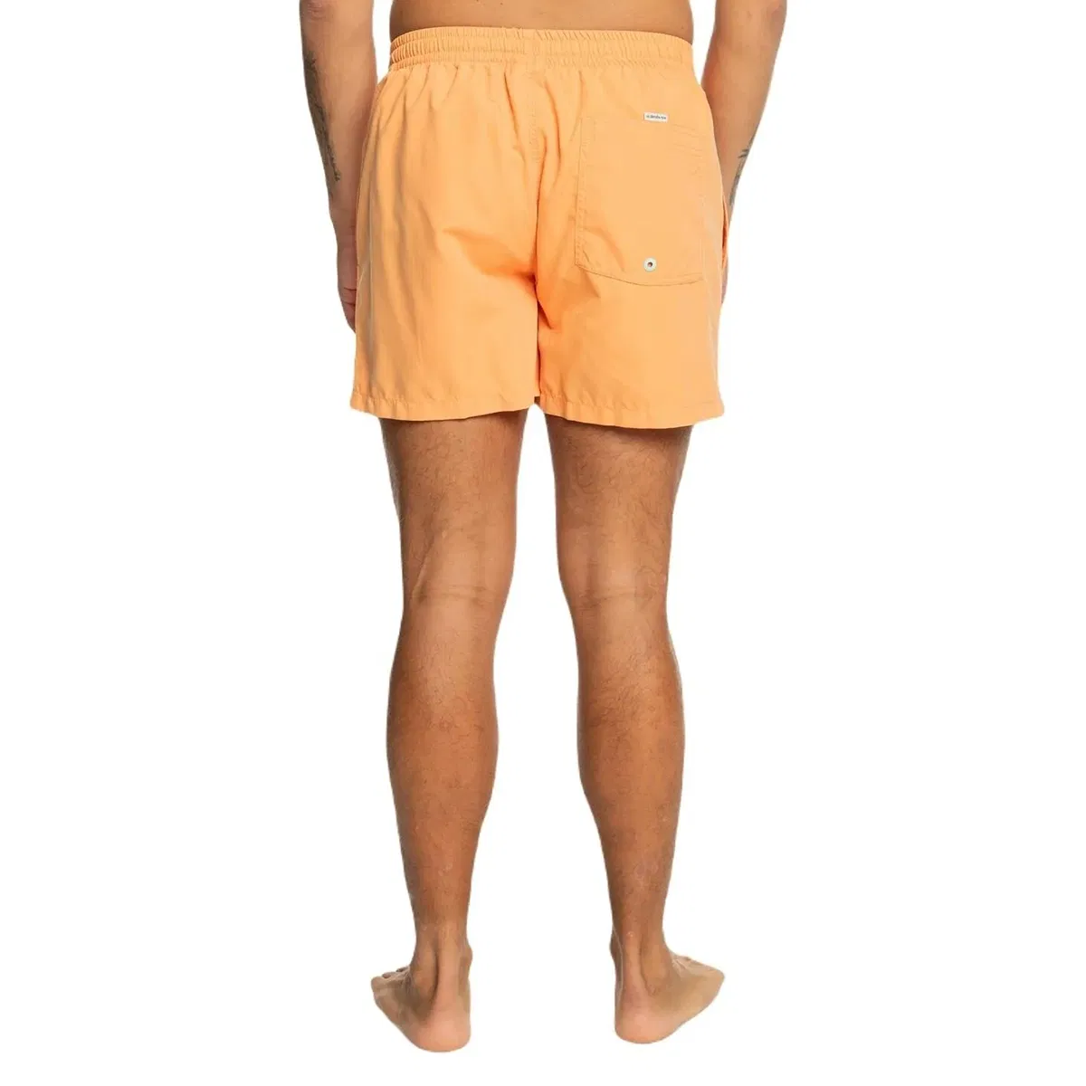 Quiksilver Behind Waves Swim shorts Men's