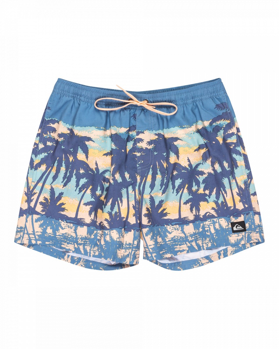 Quiksilver Everyday Straight 15 Swim shorts Men's