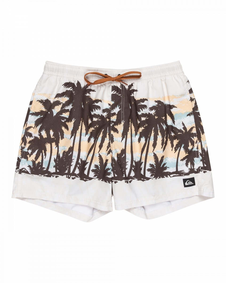Quiksilver Everyday Straight 15 Swim shorts Men's