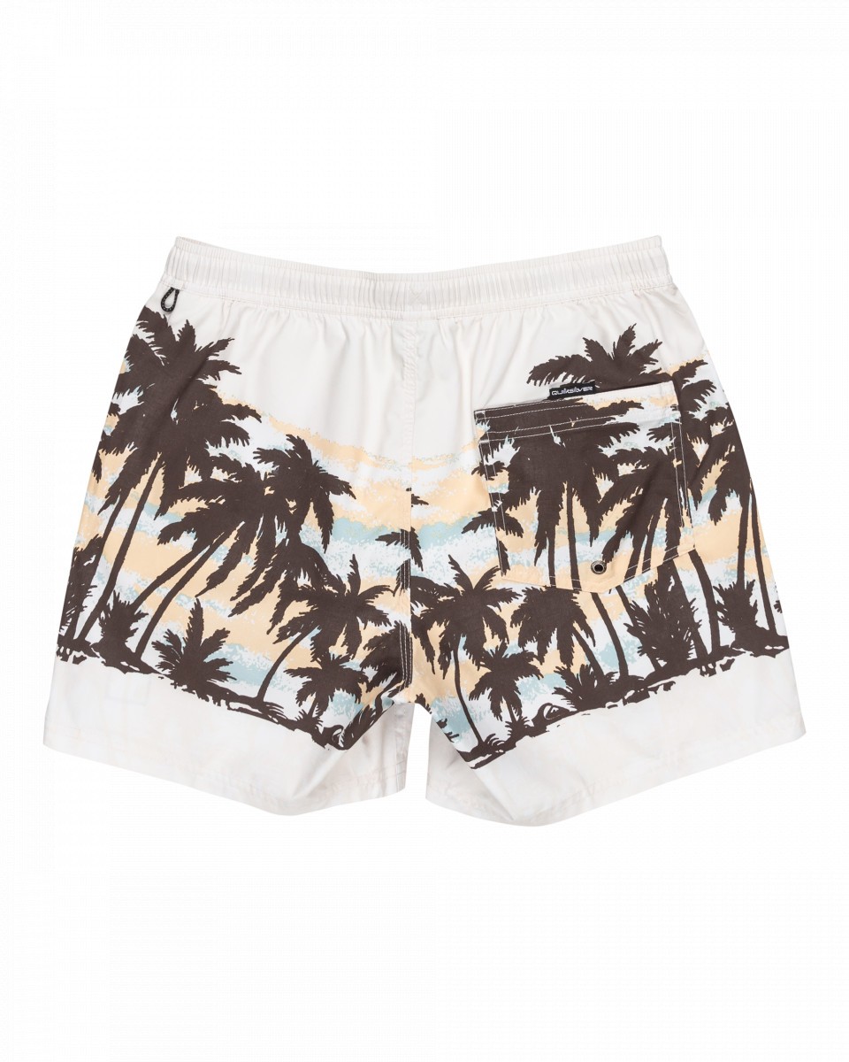 Quiksilver Everyday Straight 15 Swim shorts Men's