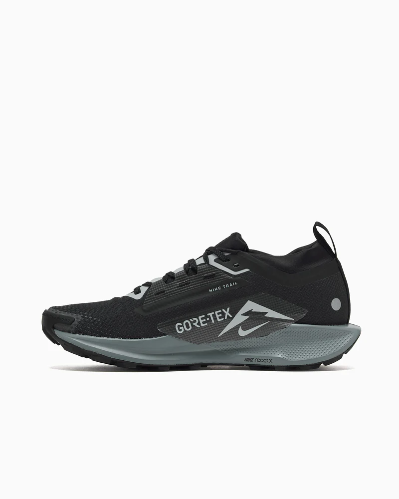 Nike Pegasus Trail 5 Gore-Tex Sneakers Men