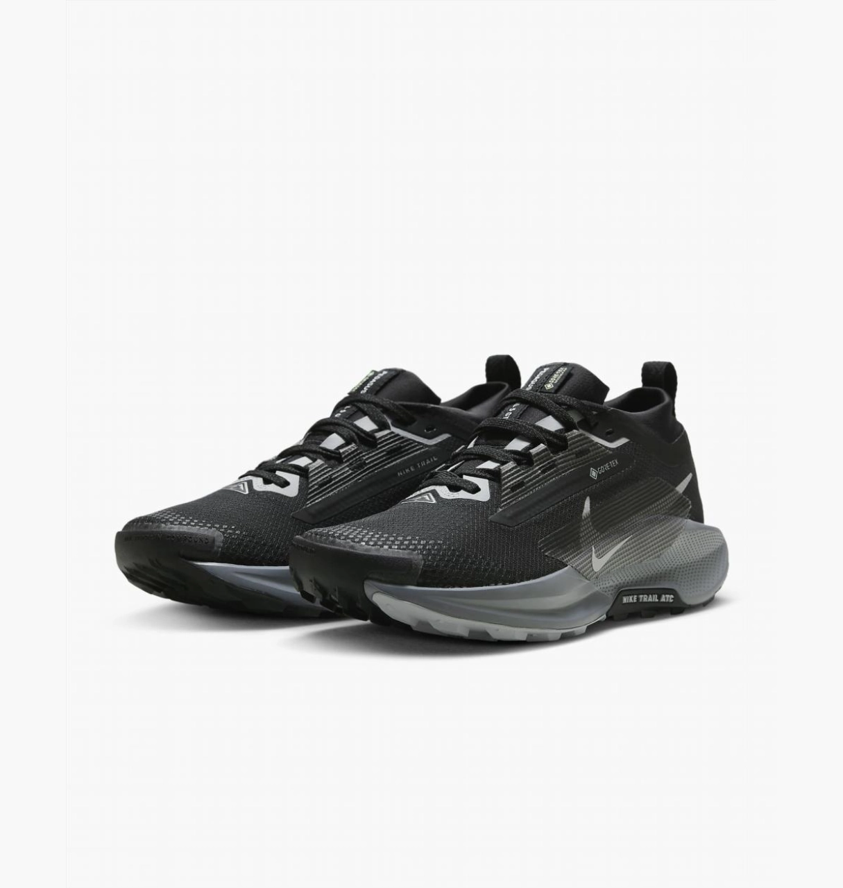 NIKE Pegasus Trail 5 GORE-TEX WOMEN'S SHOES