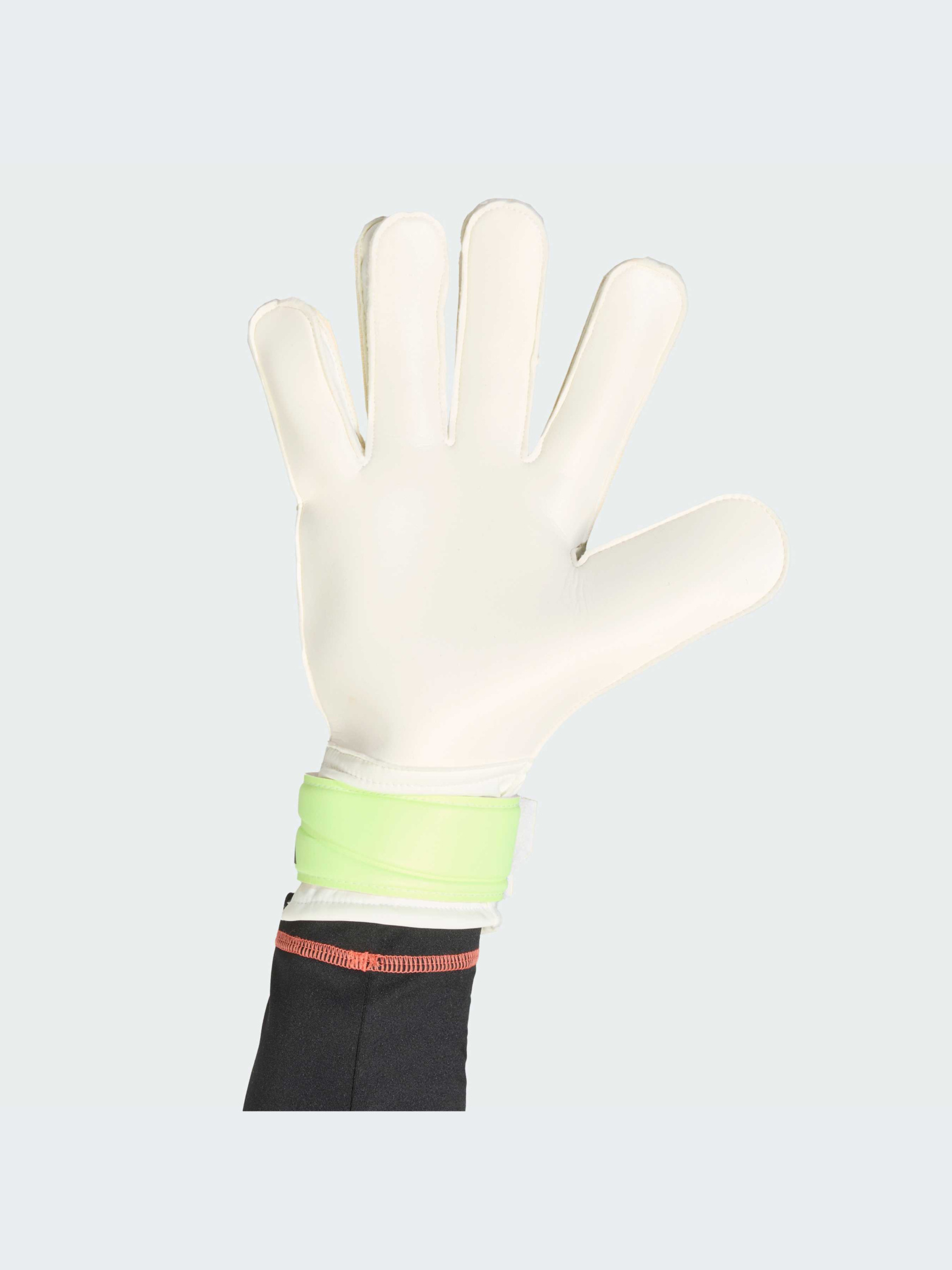 Adidas Predator Training Goalkeeper Gloves