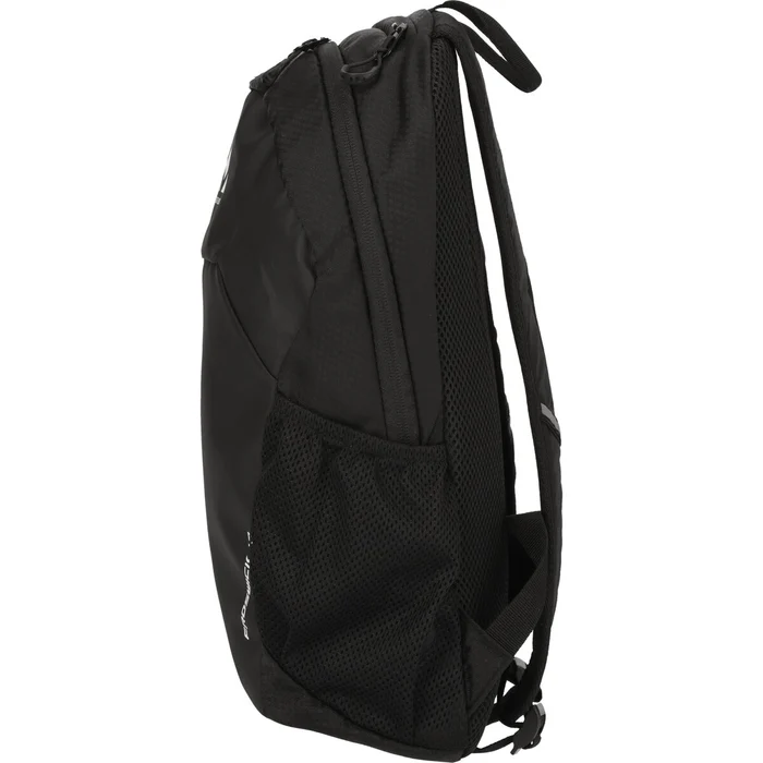 WHISTLER Froswick 10L Backpack